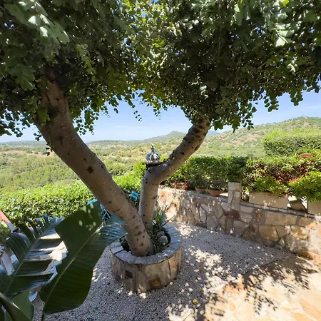 Sterlizia, Vista Mare *